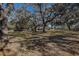 Large backyard with mature oak trees and a home in the background at 10525 Hilltop Dr, New Port Richey, FL 34654