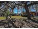 Backyard with large oak tree, table and chairs, and swing set at 10525 Hilltop Dr, New Port Richey, FL 34654