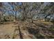 Spacious backyard with large oak trees providing shade at 10525 Hilltop Dr, New Port Richey, FL 34654