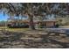 Brick ranch house with a large oak tree in the front yard at 10525 Hilltop Dr, New Port Richey, FL 34654