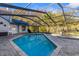 Backyard pool features screened-in enclosure, and outdoor dining space at 1249 Mazarion Pl, Trinity, FL 34655