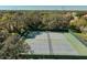 Two well-maintained tennis courts at 11445 Deercroft Ct, Spring Hill, FL 34609