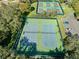 Two tennis courts nestled in a wooded area at 11445 Deercroft Ct, Spring Hill, FL 34609