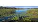 Picturesque lake view with lush vegetation at 2210 Utopian E Dr # 212, Clearwater, FL 33763