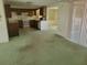Open living and dining area with green carpet at 3249 Trask Dr, Holiday, FL 34691