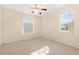 Well-lit bedroom featuring carpet, large window, and ceiling fan at 4201 Silver Berry Ct, Spring Hill, FL 34609