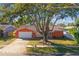Ranch style home with a large tree and driveway at 465 Meadowlark Ln, Palm Harbor, FL 34683