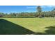 Spacious grassy backyard with palm trees and landscape lighting at 4901 Onyx Ln # 202, New Port Richey, FL 34652