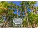 Lansbrook Commons community sign in a lush, tropical setting at 5211 Karlsburg Pl, Palm Harbor, FL 34685
