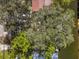 Bird's eye view of the property and surrounding trees at 7195 Bethesda Ct, Weeki Wachee, FL 34607