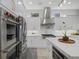 Gourmet kitchen with double ovens, stainless steel appliances, and marble countertops at 3042 Wentworth Way, Tarpon Springs, FL 34688
