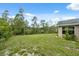 Backyard features trees, grass and the exterior of the home at 7941 Sycamore Dr, New Port Richey, FL 34654