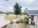 Landscaped yard with trees and a concrete driveway at 7941 Sycamore Dr, New Port Richey, FL 34654