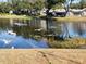Tranquil lake view with birds and community homes in background at 9163 Lingrove Rd, Weeki Wachee, FL 34613