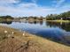 Serene lake view, featuring waterfront homes and birds at 9163 Lingrove Rd, Weeki Wachee, FL 34613