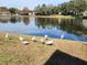 White birds by the lake in a community setting at 9163 Lingrove Rd, Weeki Wachee, FL 34613