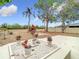 Backyard patio with potted plants and gravel at 1310 Mandarin Dr, Holiday, FL 34691