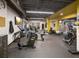 Fitness Center complete with modern exercise equipment and TV at 121 Lindsay Ln # 31, Oldsmar, FL 34677