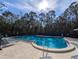 Resort style community pool with lounge chairs and beautiful surroundings at 121 Lindsay Ln # 31, Oldsmar, FL 34677
