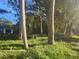 Lush backyard with mature trees and a glimpse of a house at 7222 N Ola Ave, Tampa, FL 33604