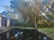 Old, empty pool surrounded by overgrown plants at 7222 N Ola Ave, Tampa, FL 33604