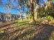 Overgrown waterfront lot with dock and trees. Needs work at 7222 N Ola Ave, Tampa, FL 33604