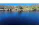 Serene waterfront view featuring a calm river and lush trees at 7222 N Ola Ave, Tampa, FL 33604