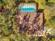 Bird's-eye view of home with pool and lush greenery at 7443 Oak Tree Ln, Spring Hill, FL 34607