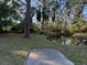 Idyllic pond surrounded by mature trees and lush vegetation, creating a tranquil outdoor space at 7600 138Th St, Seminole, FL 33776