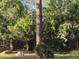 Beautiful yard with lush greenery and mature trees adding privacy at 7600 138Th St, Seminole, FL 33776