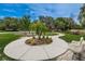 Circular seating area with benches and a palm tree in a community park at 11645 Belle Haven Dr, New Port Richey, FL 34654