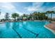 Large community pool with lap lanes, water features, and palm trees at 11645 Belle Haven Dr, New Port Richey, FL 34654