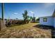 Fenced backyard with a gate, grassy area, and a small tree at 3444 Clydesdale Dr, Holiday, FL 34691