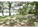 Spacious backyard with lake view and lush landscaping at 3606 River Grove Dr, Tampa, FL 33610