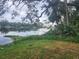 Peaceful waterfront view with lush vegetation and calm water at 3606 River Grove Dr, Tampa, FL 33610