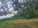 Lush waterfront landscape with mature trees and lake view at 3606 River Grove Dr, Tampa, FL 33610