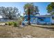 Cute blue house with a palm tree and well-maintained lawn at 3505 Cantrell St, New Port Richey, FL 34652