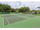 Two well-maintained tennis courts in a community setting at 4635 Bellemede Blvd, New Port Richey, FL 34655