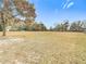 Open grassy backyard with mature trees and natural landscape at 5085 Bone Ln, Brooksville, FL 34604
