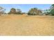 Serene backyard with a stone fire pit and open space at 5085 Bone Ln, Brooksville, FL 34604