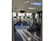 Community fitness center offering various cardio and strength training equipment at 7221 Cleopatra Dr, Land O Lakes, FL 34637
