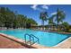 Refreshing community pool with palm trees and lounge chairs at 9327 Whitstone Ct, New Port Richey, FL 34655