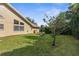 Well-maintained backyard with a green lawn, small tree, and side of the house with several windows at 18242 Autumn Lake Blvd, Hudson, FL 34667
