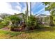 Landscaped backyard with tropical plants and screened patio at 2647 Royal Ridge Dr, Spring Hill, FL 34606