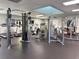 Modern fitness center featuring treadmills, weight machines, and free weights at 3337 Autumn Amber Dr, Spring Hill, FL 34609