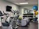 Well-equipped fitness center with various cardio and strength training machines at 3337 Autumn Amber Dr, Spring Hill, FL 34609