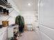 Large walk-in closet with shelving and dresser at 3337 Autumn Amber Dr, Spring Hill, FL 34609