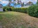 Large backyard with well-maintained hedges at 6381 Plantation Rd, Spring Hill, FL 34606