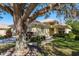 Attractive one-story home with a lush front yard, a covered entry, and a shade tree at 14120 Whitecap Ave, Hudson, FL 34667