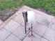 Exterior close up of bird on patio at 11532 Holly Ann Dr, New Port Richey, FL 34654